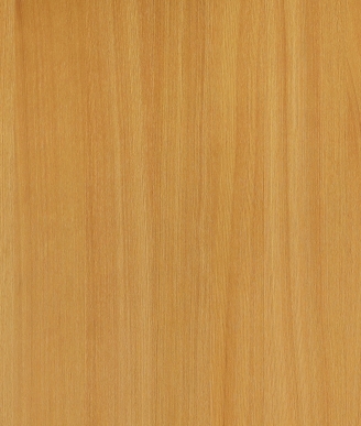 6196AN
