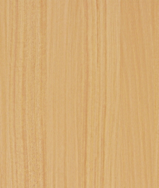 6196PN